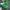 Japanese brand Gorpcore Sportswear Trench coat Pria green photo 1