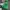 Japanese Brand Gorpcore Sportswear Trench Coat Pria Green