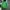 Japanese brand Gorpcore Sportswear Trench coat Pria green photo 2