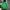 Japanese Brand Gorpcore Sportswear Trench Coat Pria Green
