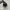 Nike Sportswear Sneakers Pria black photo 4