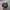 Caterpillar Vintage Streetwear Hat Pria navy photo 4