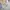 Acne Studios Avant Garde Casual Sweatshirt Pria white gray photo 4