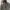 Hysteric Glamour Streetwear Y2K Puffer jacket Pria multicolor photo 2