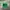 Vintage Streetwear Hat Pria green photo 1