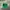 Vintage Streetwear Hat Pria Green