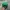 Vintage Streetwear Hat Pria green photo 4