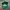 Vintage Streetwear Hat Pria green photo 3