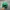 Vintage Streetwear Hat Pria green photo 5