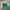 Vintage Streetwear Hat Pria green photo 1