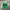 Vintage Streetwear Hat Pria Green