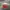 Vintage Streetwear Hat Pria white red photo 1