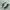 Adidas Casual Sneakers Wanita green photo 1