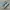 Adidas Casual Sneakers Pria blue photo 1