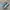 Adidas Casual Sneakers Pria Blue