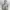 Coach Luxury Futurist Bags & purse Wanita gray photo 1