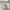 Coach Luxury Futurist Bags & purse Wanita gray photo 5