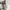 Coach Luxury Futurist Bags & purse Wanita gray photo 6