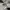 Nike Streetwear Casual Sneakers Pria gray photo 1