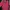 Vintage Cardigan Wanita red photo 1
