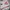 Streetwear Shoulder bag Wanita white pink photo 6