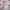 Streetwear Shoulder bag Wanita white pink photo 5