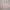 Uniqlo Luxury Casual Sweater Kids Pink