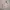 Uniqlo Luxury Casual Sweater Kids pink photo 4