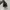 Nike Sportswear Sneakers Pria black photo 4