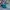 The North Face Gorpcore Sportswear Bag Pria Blue
