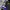 Kappa Biker Track jacket Pria blue black photo 3