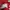Keith Haring Streetwear Polo shirt Pria red photo 6