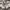 Adidas Streetwear Sportswear Sneakers Pria White Black