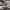 Adidas Streetwear Sportswear Sneakers Pria white black photo 3