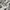 Adidas Streetwear Sportswear Sneakers Pria White Black