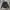 Levi's Streetwear Varsity jacket Pria navy photo 1