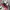 Nike Luxury Sportswear Sneakers Pria Red Black