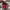 Nike Luxury Sportswear Sneakers Pria red black photo 3