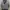 Nike Sportswear Track jacket Pria black gray photo 3