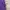 Jean-Michel Basquiat Streetwear Skater T-shirt Pria purple photo 4