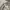 The North Face Gorpcore Sportswear Track jacket Wanita white cream photo 7