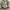 The North Face Gorpcore Sportswear Track jacket Wanita white cream photo 5