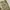 Wacko Maria Streetwear Casual Casual pants Pria cream photo 4