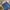 Nudie Casual Jeans Pria blue photo 3