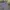 Y2K Skater Short Pria multicolor gray photo 4