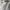 Ben Davis Vintage Streetwear Formal pants Pria tan photo 5