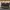 Bally Luxury Casual Bag Pria brown black photo 2
