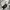 Obey Streetwear Skater Sweatshirt Pria gray photo 5