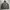 Levi's Luxury Minimalist Hoody Pria Gray