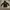 Converse Y2K Casual Hoody Pria black photo 1